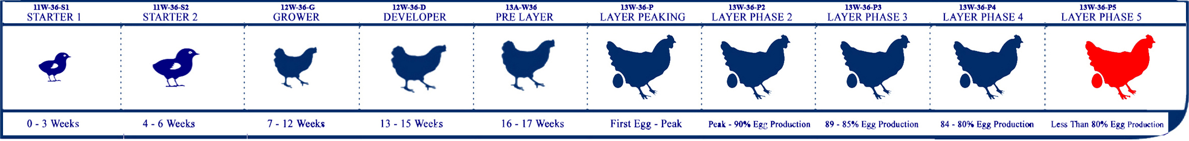 Starter Lifecycle