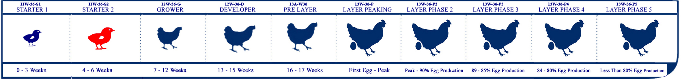 Starter Lifecycle