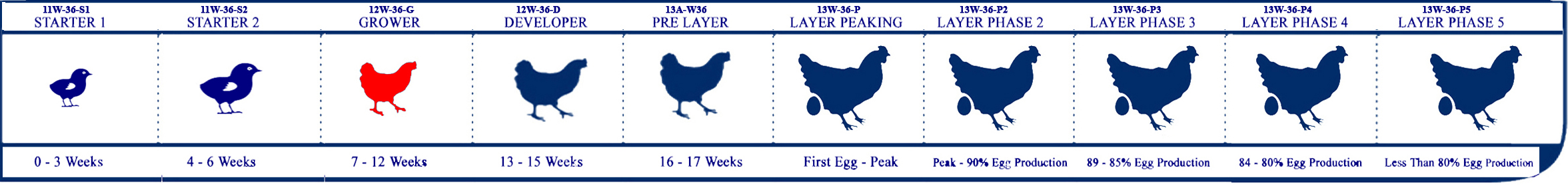 Starter Lifecycle