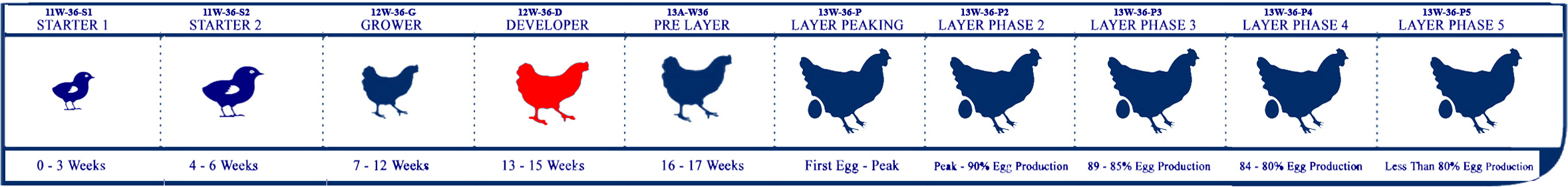 Starter Lifecycle