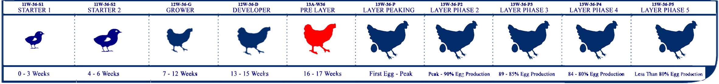 Starter Lifecycle