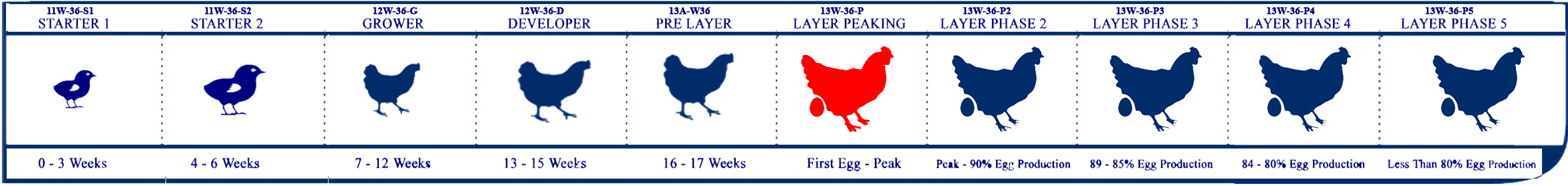 Starter Lifecycle