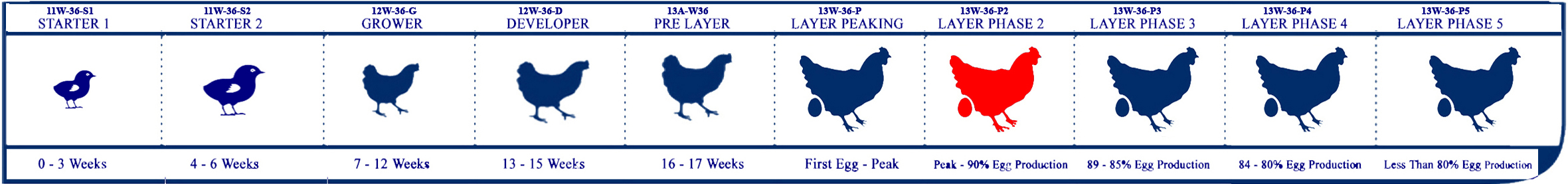 Starter Lifecycle