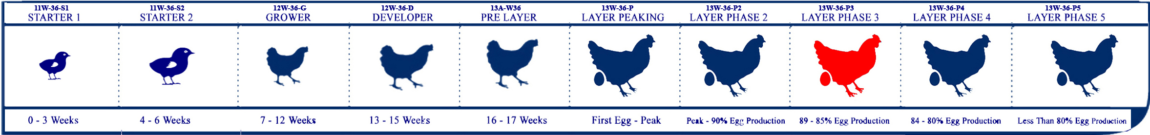 Starter Lifecycle