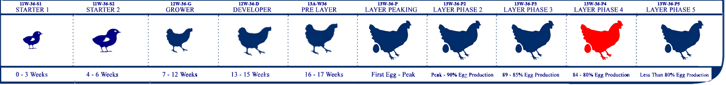 Starter Lifecycle