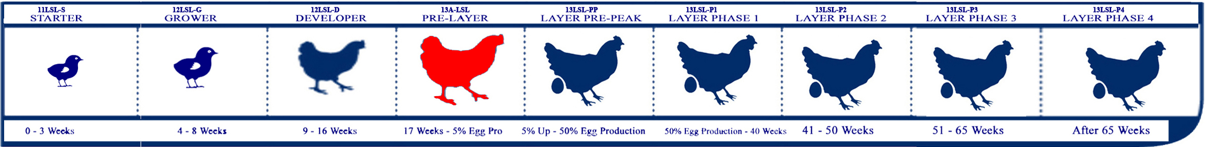 Starter Lifecycle