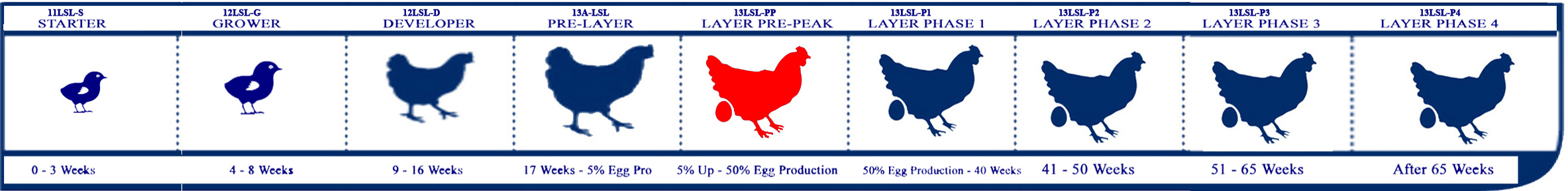 Starter Lifecycle