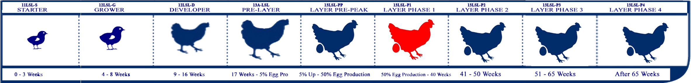 Starter Lifecycle