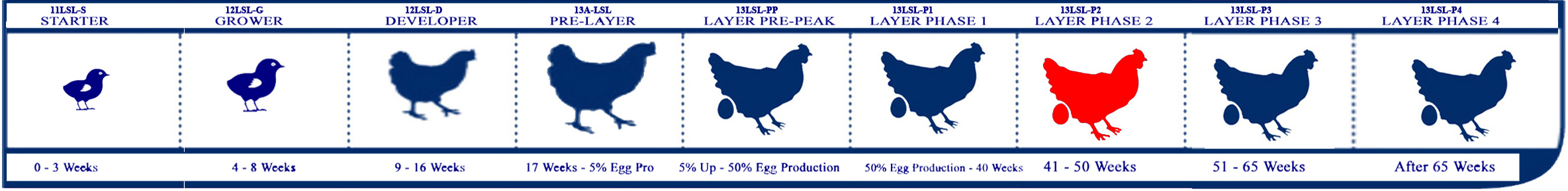 Starter Lifecycle