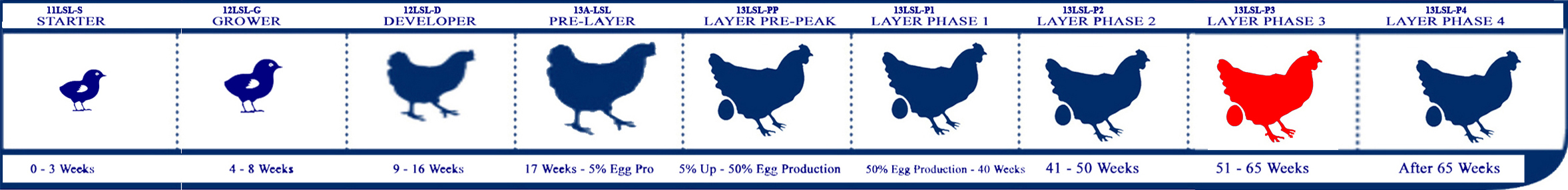 Starter Lifecycle