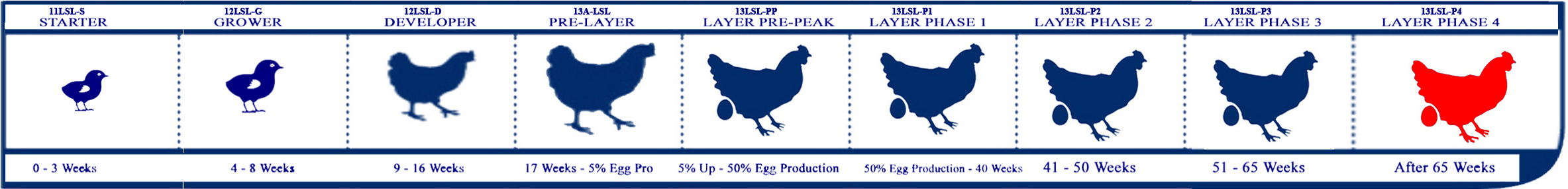 Starter Lifecycle