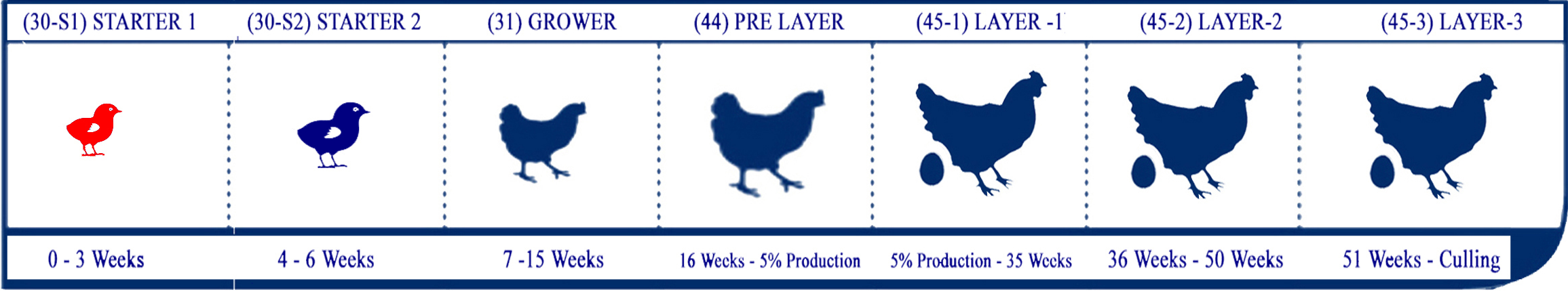 Starter Lifecycle