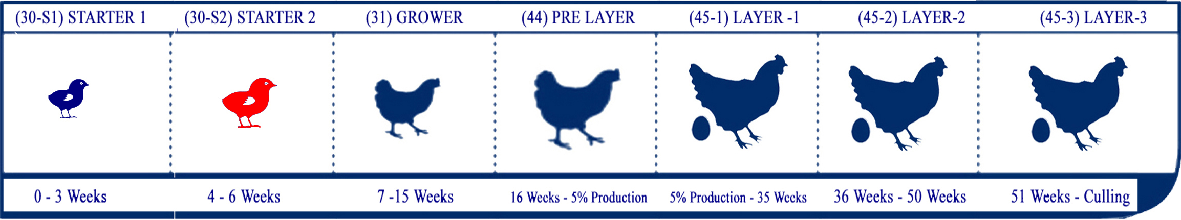 Starter Lifecycle