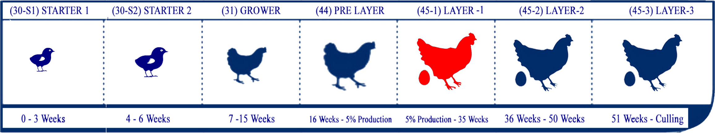 Starter Lifecycle