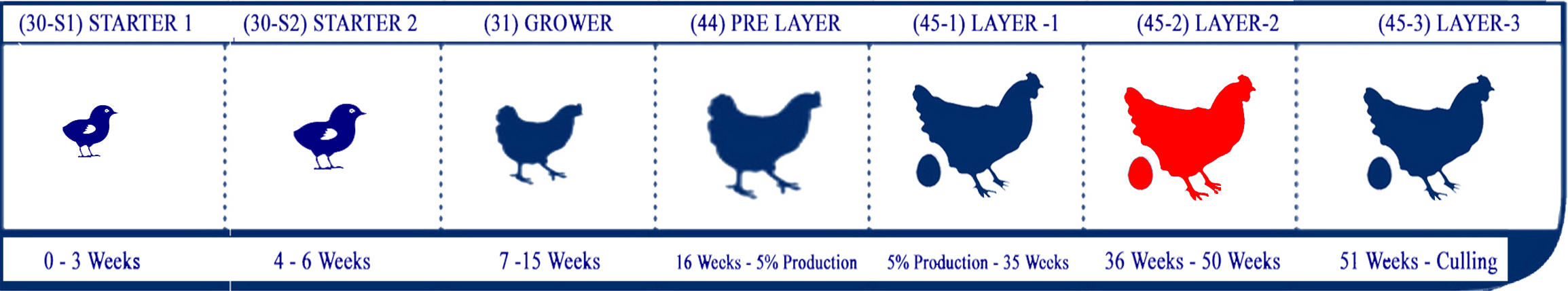 Starter Lifecycle