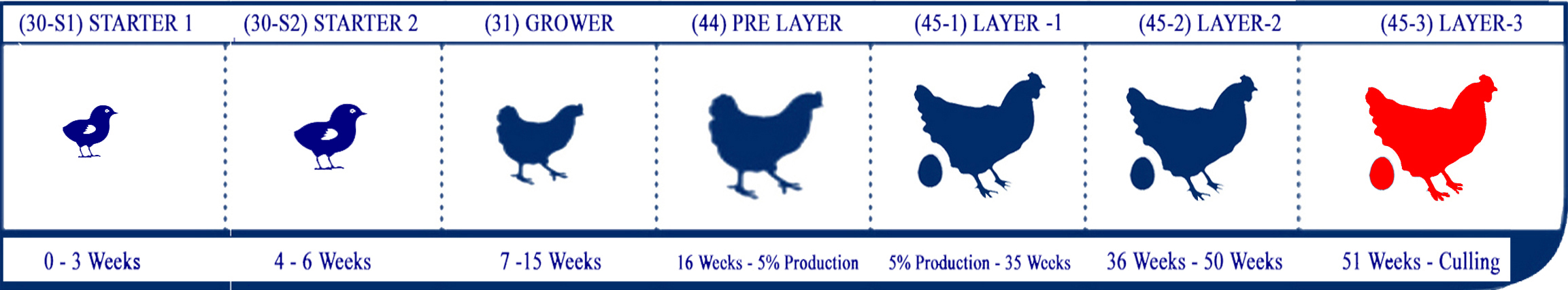 Starter Lifecycle