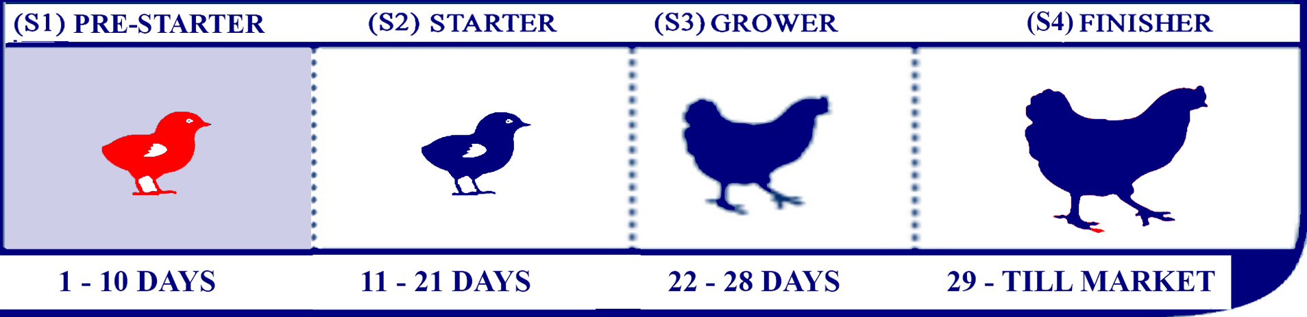 Starter Lifecycle