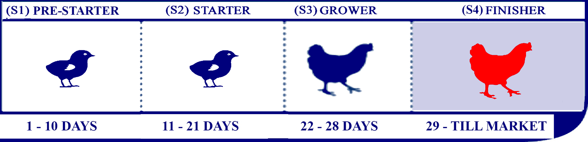 Starter Lifecycle